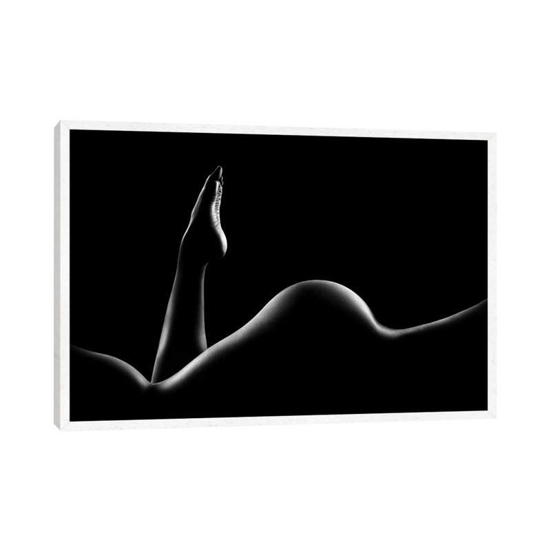 Johan Swanepoel by Johan Swanepoel - Floater Frame Gallery-Wrapped Canvas Giclée on Canvas, 45.72 cm H x 66.04 cm W, White