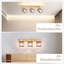 Spotlight-101575210