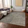 Machine Washable Indoor/Outdoor Chayden ACN988 Putty Rug