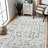 Calam Traditional Bordered Durable Performance Gray/Ivory Area Rug-636330741
