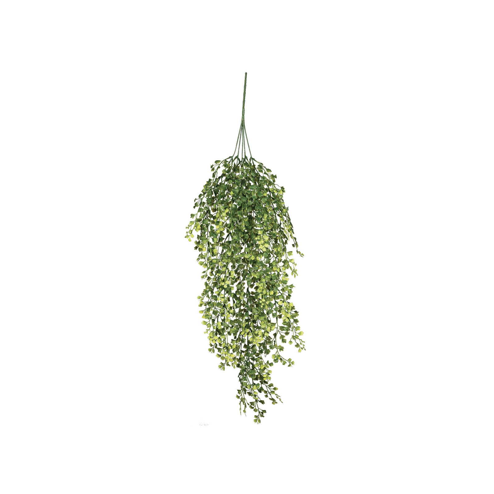Maiden Hair Fern Spray