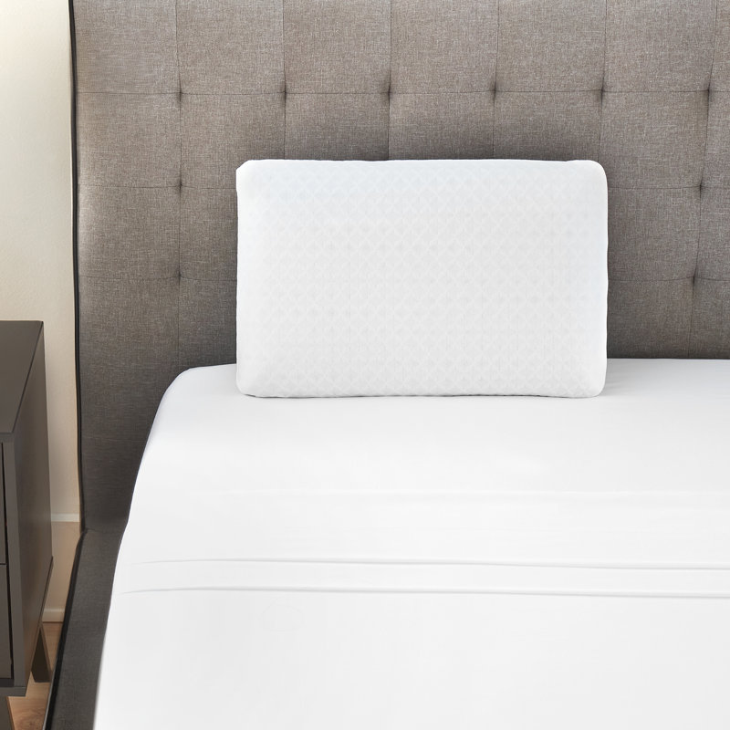 Gel Memory Foam Conventional Pillow