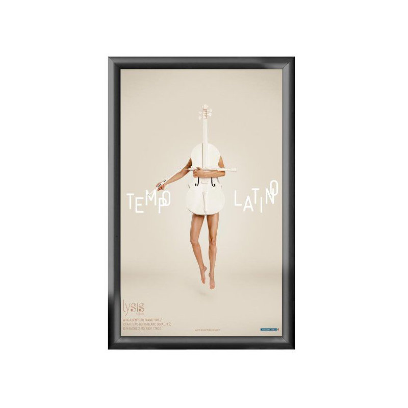 Snap Frame