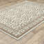 Tapis ivoire traditionnel à bordure Adela-1461748596