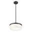 Luminaire suspendu 13 po Haddon-123223077