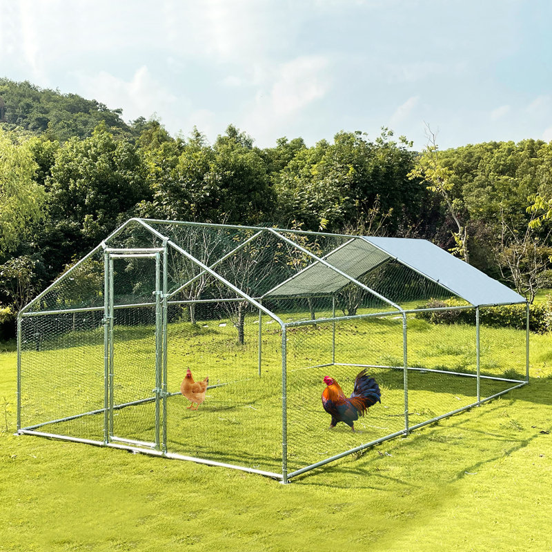 Poulailler avec ruisseau Evell, H 76,8 po x l 117,6 po x P 230,4 po