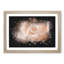 Light Pink Rose Paint Splash - Picture Frame Graphic Art-56865510-56865513