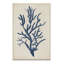 « indigo corail iv », impression-468857258-468856167