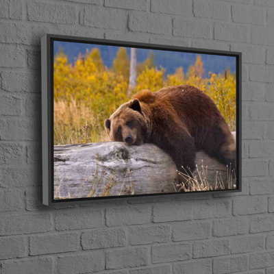 Adorable Bear Resting on a Log Print in a Framed Canvas for a Perfect Blend of Fun and Farmhouse Home Decor