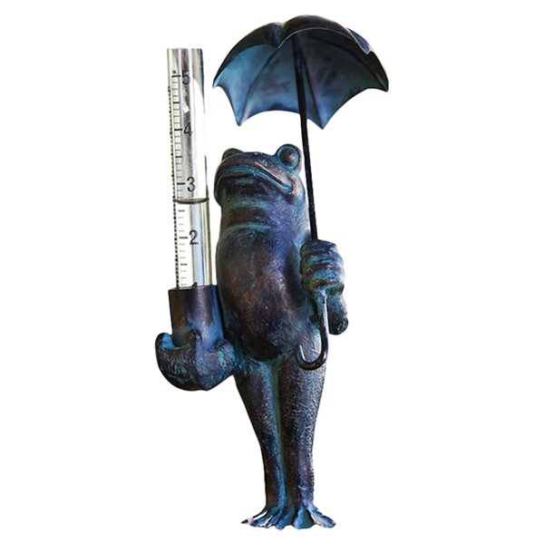 https://assets.wfcdn.com/im/34912553/resize-h600-w600%5Ecompr-r85/1506/15069225/18%27%27+Rain+Gauge.jpg