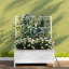Jardinières en acier durable avec treillis, lit de jardin moderne pour les espaces extérieurs