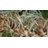 Playful Ducklings 1 Piece Garden Statue-120494257