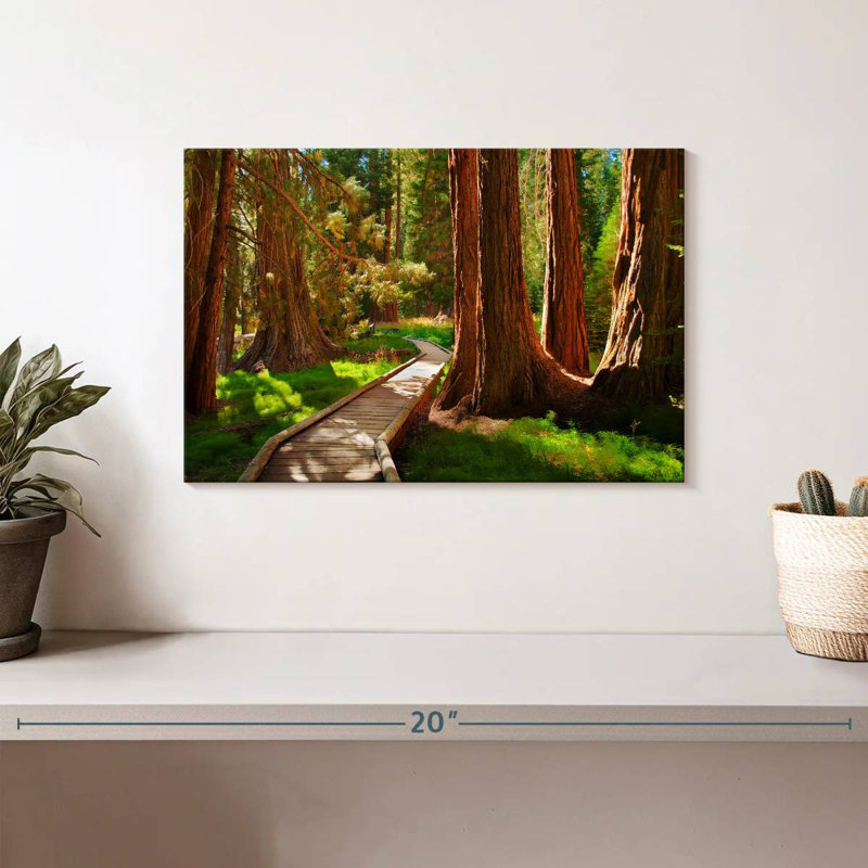 Alvord Reddish Sequoia Forest