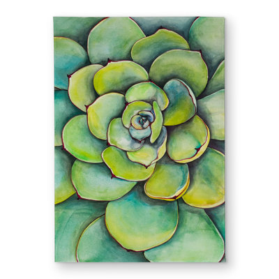 Watercolor Succulent Plant Door Mat | Indoor Outdoor Decor