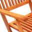 Folding Patio Dining Armchair with Cushion