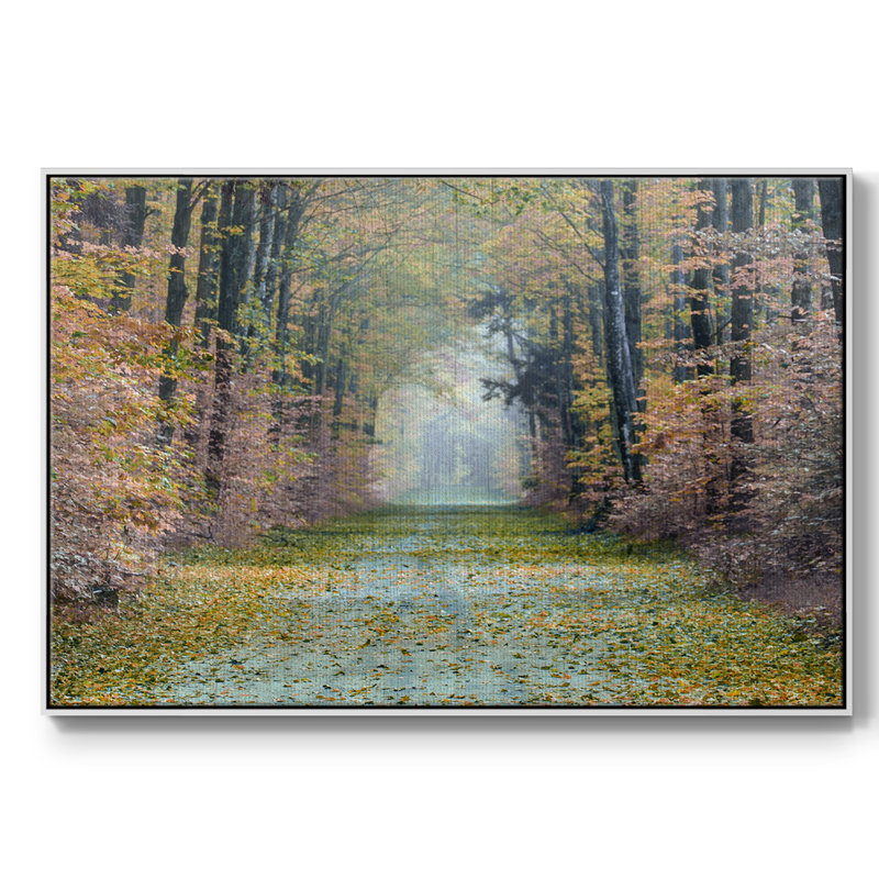 Enchanted Path, reproduction d'art sur toile, H 17 po x l 25 po x P 2 po, Blanc