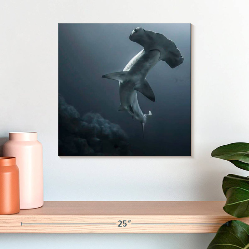 Requin-marteau Brampt