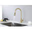 Robinet de cuisine avec douchette extractible-117241190