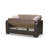 Annalice 65 in. Fabric 2-Seater 3-in-1 Sleeper Loveseat Sofa Bed with Storage-1568601316