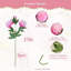 6 pièces de fleurs artificielles, pivoine artificielle avec feuille de fleur en plastique, décor de bar fête de mariage à domicile, cadeau de Saint-Valentin (blanc)-1523769960