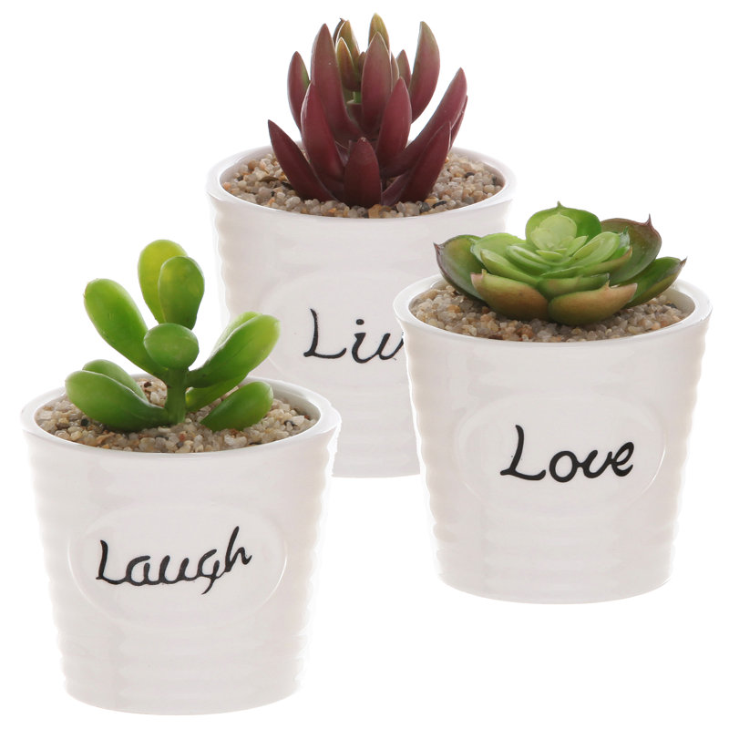 Ceramic Pot Planter