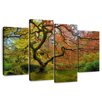 Harnek Springtime Japanese Maple