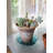 Saucer Plant Stand