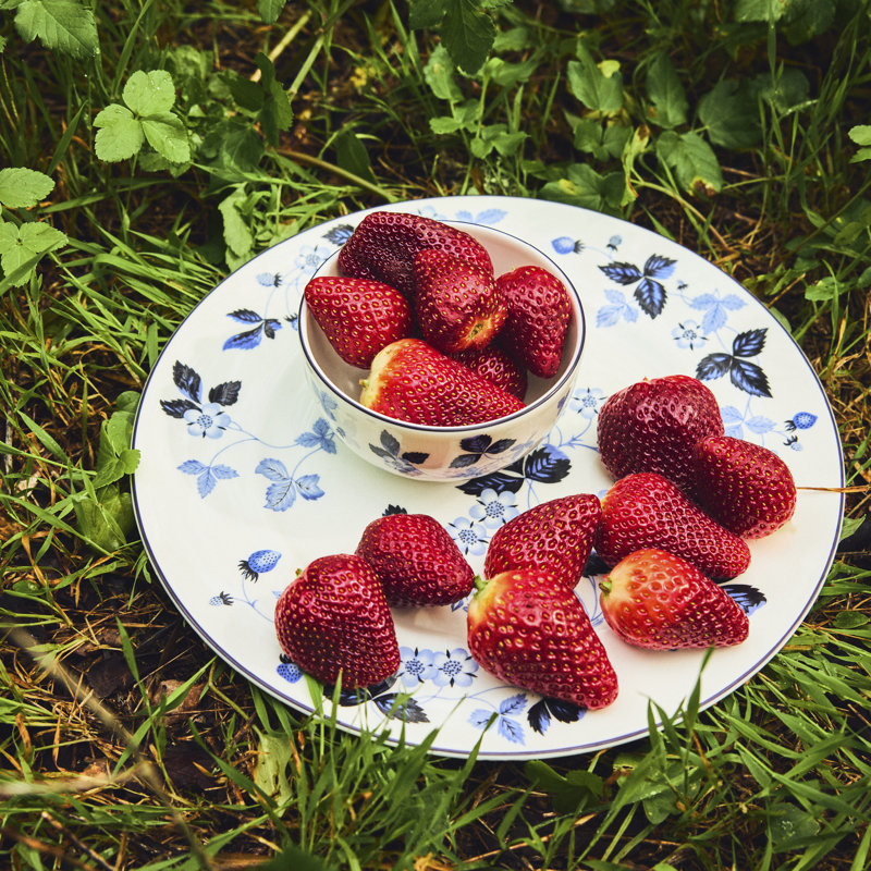 Wild Strawberry Inky Blue 15-Piece Dinnerware Set