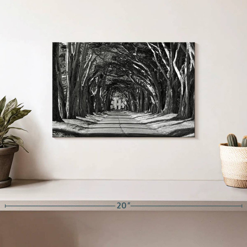 Harnek Driveway Tree Canopy BW, 8" H x 12" W