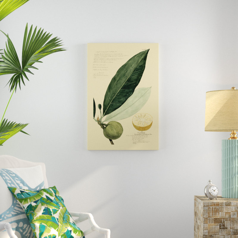 Descubes Tropical Fruits III by A. Descubes - Painting on Canvas, 91cm H x 61cm W, Wrapped Canvas