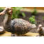 Animals Waterproof Plastic Garden Statue