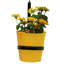 Ensemble de deux pots à fleurs en acier émaillé Serra avec support en fer Serra-1300303324