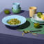 Porcelain Dinner Plate