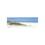 Dune Grasses Print by Malcolm Sanders-26704649-26704645