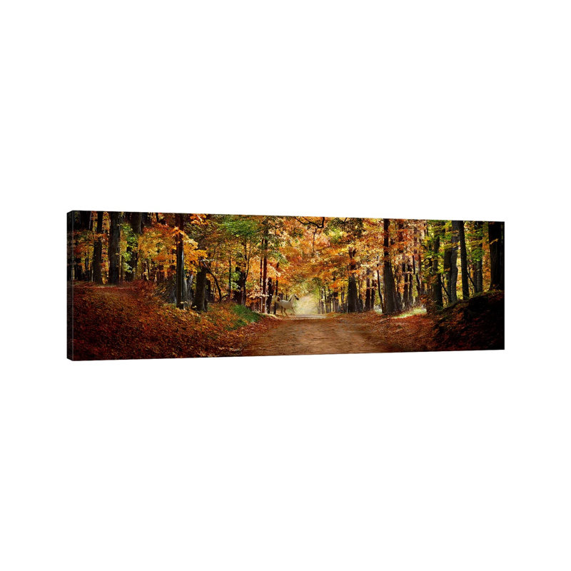Horse Running Across Road In Fall Colours - Wrapped Canvas Panoramic Print, 30.48 cm H x 91.44 cm W x 1.91 cm D