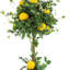 Springfield 30'' Faux Lemon Topiary in Ceramic Decorative Vase