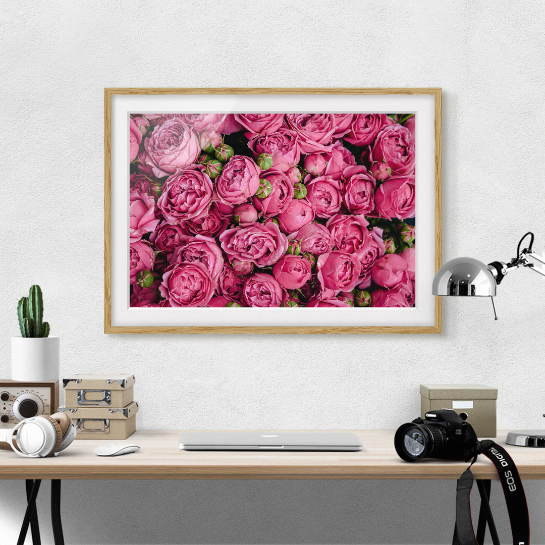 Gerahmter Grafikdruck Pink Peonies