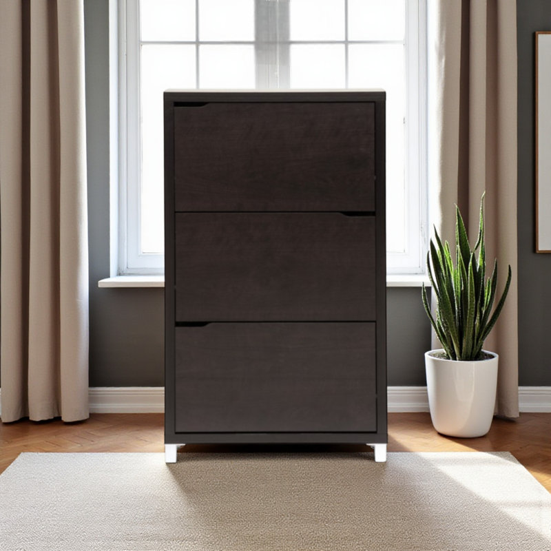 Leticia Brown Finish Modern Shoe Cabinet With Door With Silver Leg, 52.4" H X 30.91" W X 8.87" D