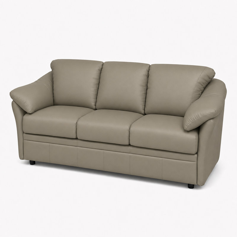Ramdev Top Grain Leather Sofa Bed with Cushioned Back and Pillow Top Arm, Light Gray
