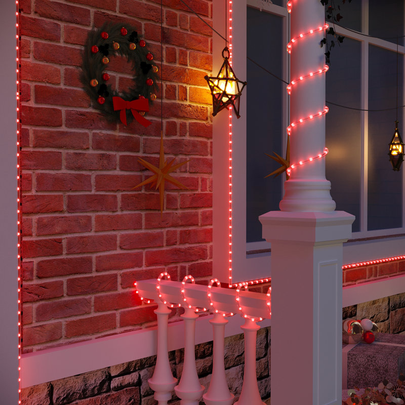 98.4FT LED Rope Light, 120V Plug-in, Cuttable, Connectable, Brightness Adjustable, IP65 Waterproof, Remote Control with Dynamic Modes and Timer