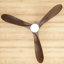 Bhradain 59.8'' Ceiling Fan with LED Lights