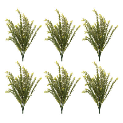 Baby Tears Foliage Bush