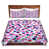 Fuchsia / rose / bleu