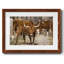 Longhorns-162033353-162033355