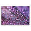 «Dewdrops» par la NASA Space Photos-101627025