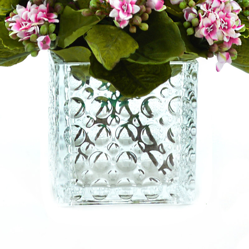 Variegated Pink/White Kalanchoe Arrangement