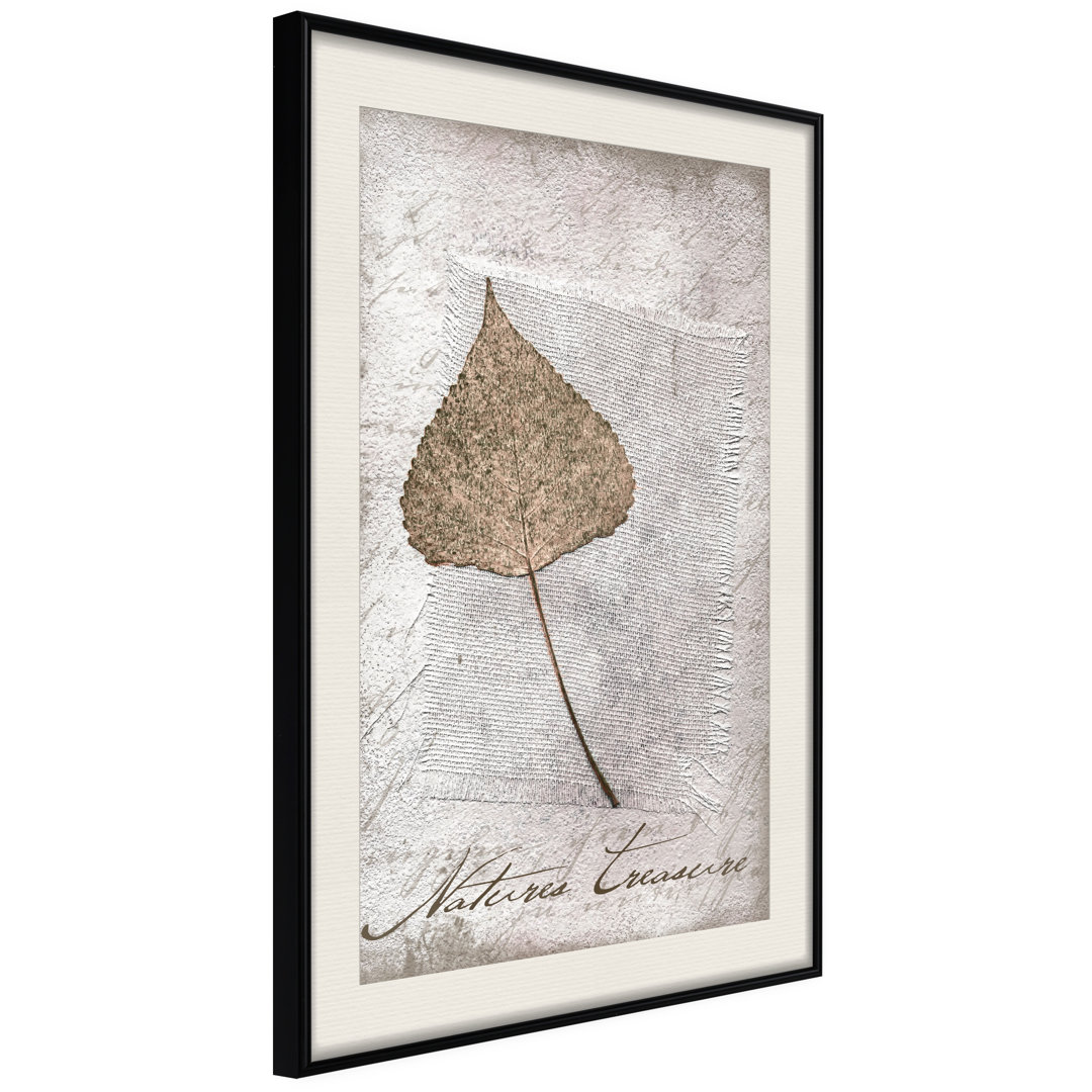 Gerahmter Fotodruck Dried Leaf