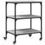 Gediz Metal Bar Cart-768932911