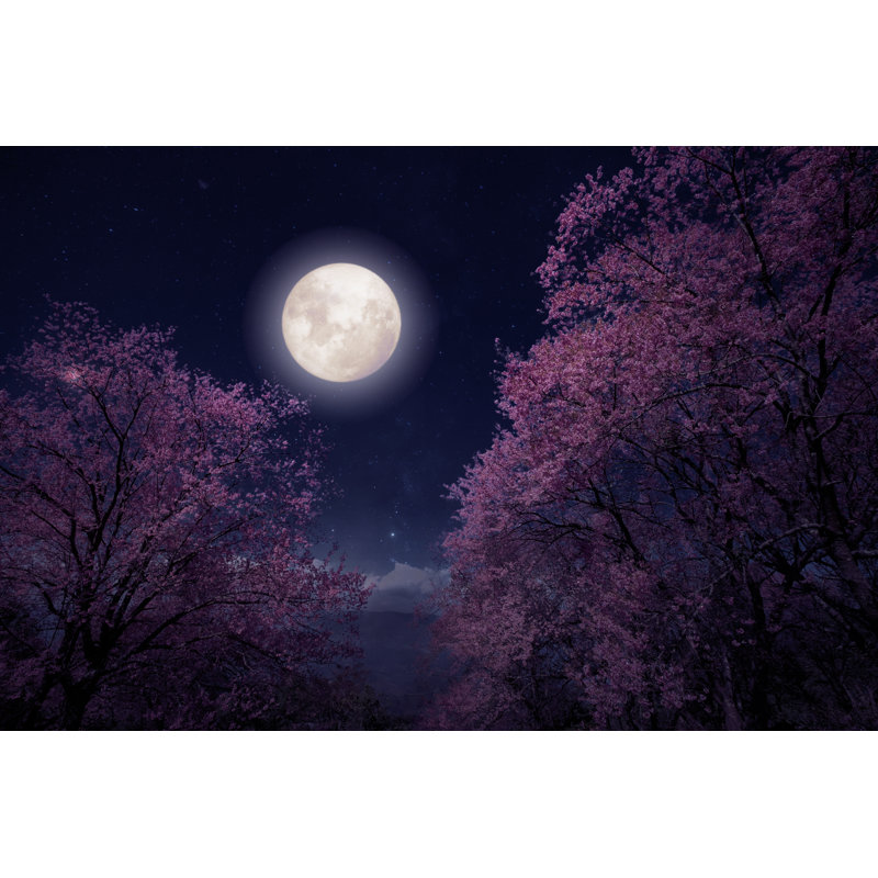 Beautiful Cherry Blossom (Sakura Flowers) In Night Skies With Full Moon by Jakkapan21 - Wrapped Canvas Print