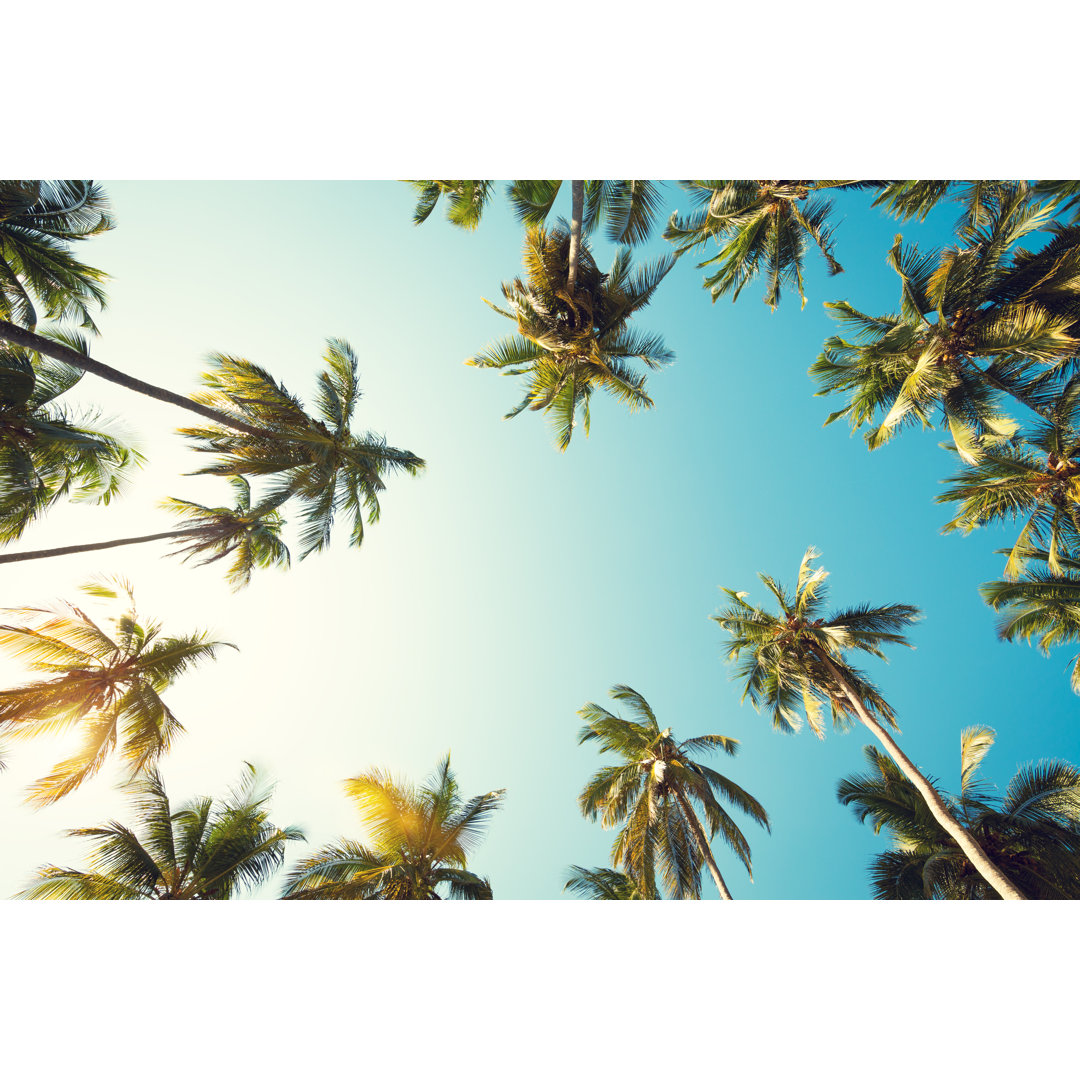 Palm Tree In Zanzibar von Borchee - Kunstdrucke auf Leinwand ohne Rahmen